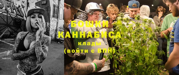 стаф Аркадак