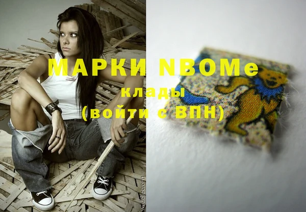 стаф Аркадак