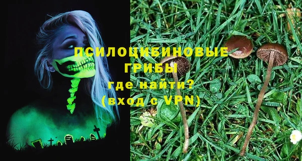стаф Аркадак
