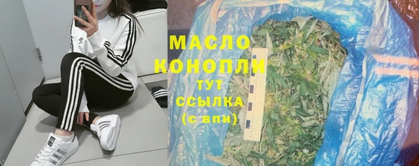 стаф Аркадак