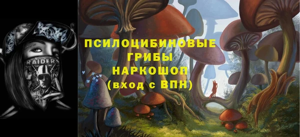 ешки Армянск