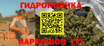 стаф Кулебаки