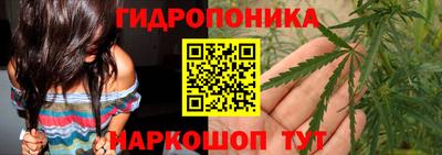 стаф Кулебаки