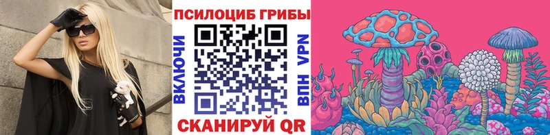 как найти   Елабуга  Псилоцибиновые грибы GOLDEN TEACHER 