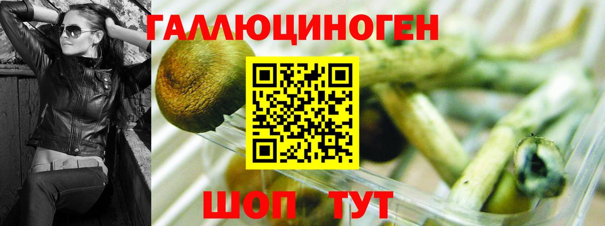 Елабуга  Псилоцибиновые грибы Psilocybine cubensis  Вход с VPN 